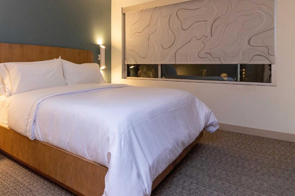 1 Bedroom Suite, 1 King, Sofa bed interior